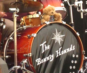 bounty hounds