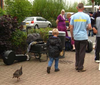 mfff 2011